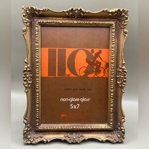 VTG 1976 Goldtone Non-glare Glass “Carved” Resin 5x7 Photo Picture Frame READ